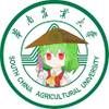 五山太阳花田