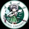 宁夏大学东方Project同好群